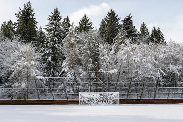 Snow covered soccer field and goal net, with forest background