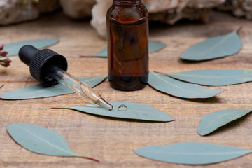 Obraz na płótnie Canvas Eucalyptus Essential oil in Amber Round Glass Bottle with Glass Dropper and Fresh Eucalyptus leaves on wooden background. Phytotherapy.