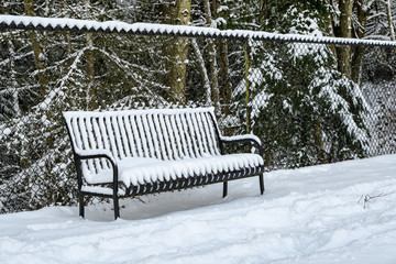 Black metal bench covered in snow against a black chain link fence on a snowy day, forest in background