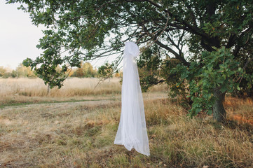 White classic veil of the bride hangs on a branch of green oak against the evening sky.