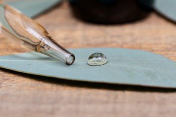 Eucalyptus Essential oil in Amber Round Glass Bottle with Glass Dropper and Fresh Eucalyptus leaves...