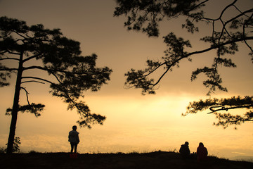 Sunrise view with silhouette pinewood forest on Phu Kradueng national park an ultimate dream for many Thai trekkers. Located in Loei province of Thailand.