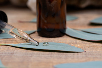 Eucalyptus Essential oil in Amber Round Glass Bottle with Glass Dropper and Fresh Eucalyptus leaves...