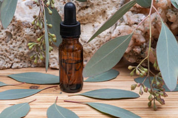 Eucalyptus Essential oil in Amber Round Glass Bottle with Glass Dropper and Fresh Eucalyptus leaves on wooden background. Phytotherapy.