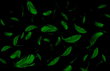 abstract background, green feathers float in the dark.