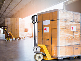 Packaging Boxes Wrapped Plastic Film on Pallet Loading into Shipping Cargo Container. Supply Chain....