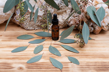 Eucalyptus Essential oil in Amber Round Glass Bottle with Glass Dropper and Fresh Eucalyptus leaves...