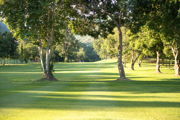 A beautiful golf course in the sunny day