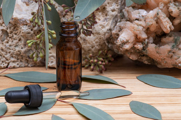 Eucalyptus Essential oil in Amber Round Glass Bottle with Glass Dropper and Fresh Eucalyptus leaves...