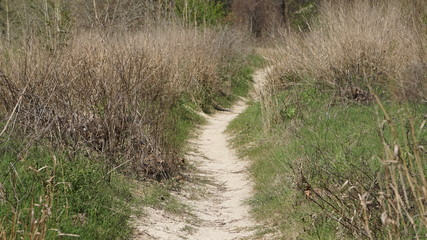 path through grass