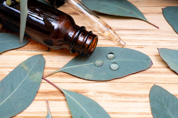 Eucalyptus Essential oil in Amber Round Glass Bottle with Glass Dropper and Fresh Eucalyptus leaves on wooden background. Phytotherapy.