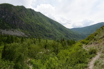Fototapeta na wymiar Mountain landscape by the river Chuya, Altai Republic, Siberia, Russia