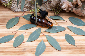 Eucalyptus Essential oil in Amber Round Glass Bottle with Glass Dropper and Fresh Eucalyptus leaves...