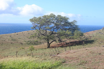 hawaii