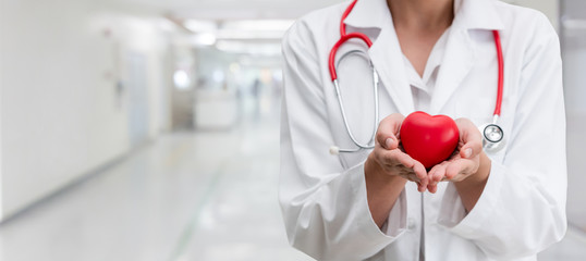 Doctor holding a red heart at hospital office. Medical health care and doctor staff service concept.