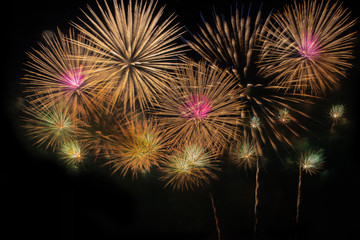 Fireworks Celebration at night.