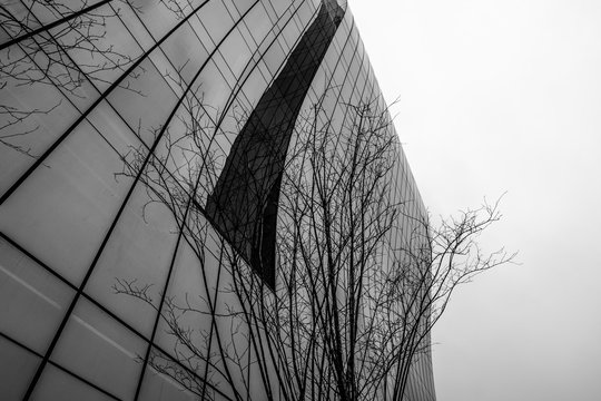 EDIFICIOS 