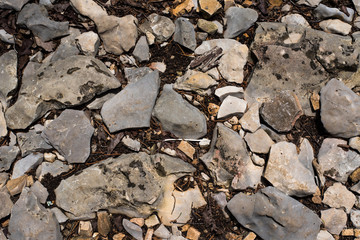 Close Up of Rocks and Pebbles on the Ground Filling the Frame