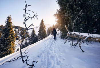 Hiker in the mountains