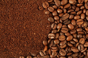 dark roasted coffee beans and ground coffee powder closeup top view