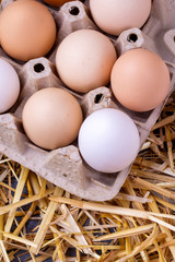 Raw eggs in dry straw. Food concept photo.