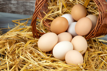 Raw eggs in dry straw. Food concept photo.