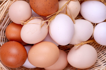 Raw eggs in dry straw. Food concept photo.