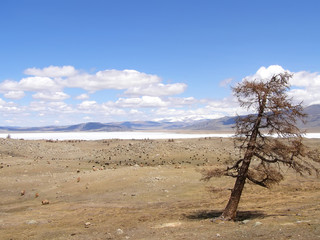 Fototapeta na wymiar Mongolian natural landscapes surrounded by mountains and rocks.