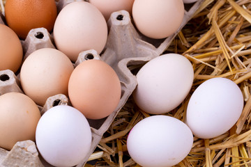Raw eggs in dry straw. Food concept photo.