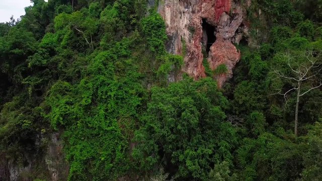 Beautiful aerial view landscape in the forest in Malaysia