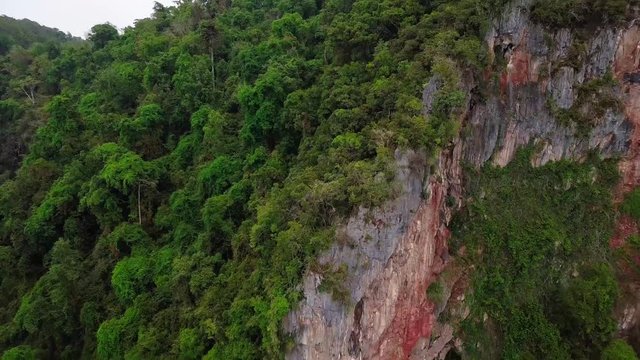Beautiful aerial view landscape in the forest in Malaysia