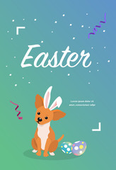 Dog as easter hare with easter eggs.