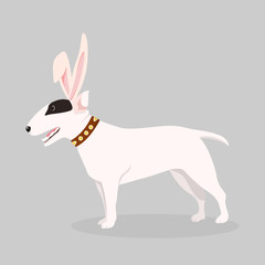 A dog with bunny ears