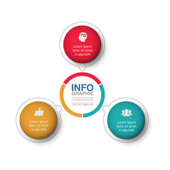 Vector infographic template for  diagram, graph, presentation, chart, business concept with 3 options.