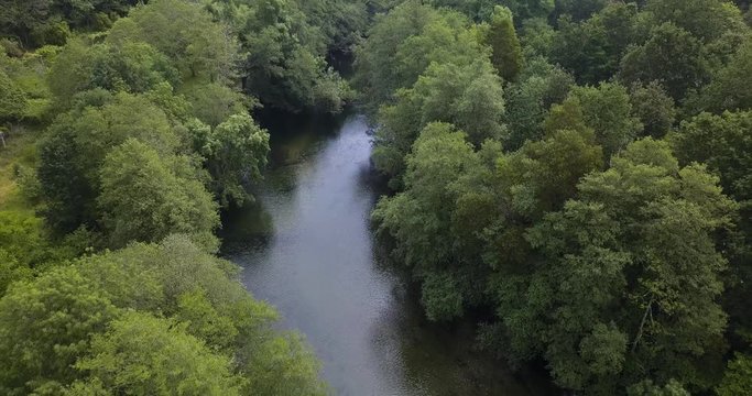 Drone footage in 4K25fps, river with green trees surround.