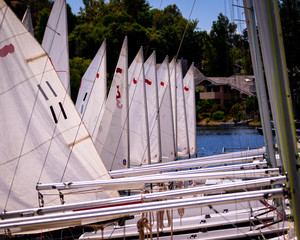 Row of Sails