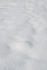 Obraz premium Nature background of fresh powder snow, pattern and texture in white