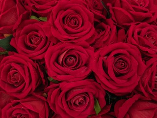 red rose bouquet background