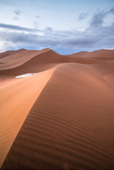 Fototapeta na wymiar dawn, desert dunes, Sussusvlei