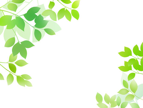 Fresh green image background material