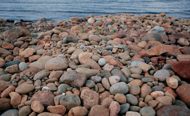 Heap of Virous Form and Texture of Stones on Coastline                                                                