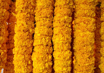 Weaver Marigolds Flower in Flower Market                    