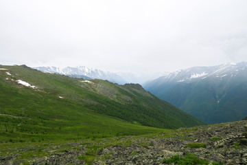 Mountain foggy meadows scenic view. Altai Mountains, Russia