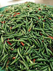 Heap of Spicy Green and Red Chili in Tray at Vegetable Market                                                                