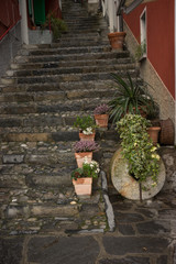 Fototapeta na wymiar Italy, Varenna, Lake Como, narrow stone steps