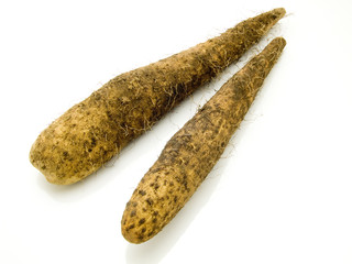 夕張長芋　ながいも　長芋　土付長芋