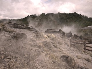 Rocky volcanic landscape in Rotorua, New Zealand with trees, bushes and rocks and steam rising from geysers under gray overcast sky