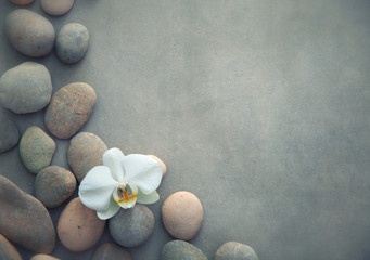 Spa concept with basalt stones and white orchid