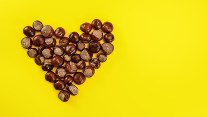 Top down view, heart made of horse chestnuts on yellow board, space for text on right side.