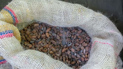 dried cacao beans falling into a hessian bag